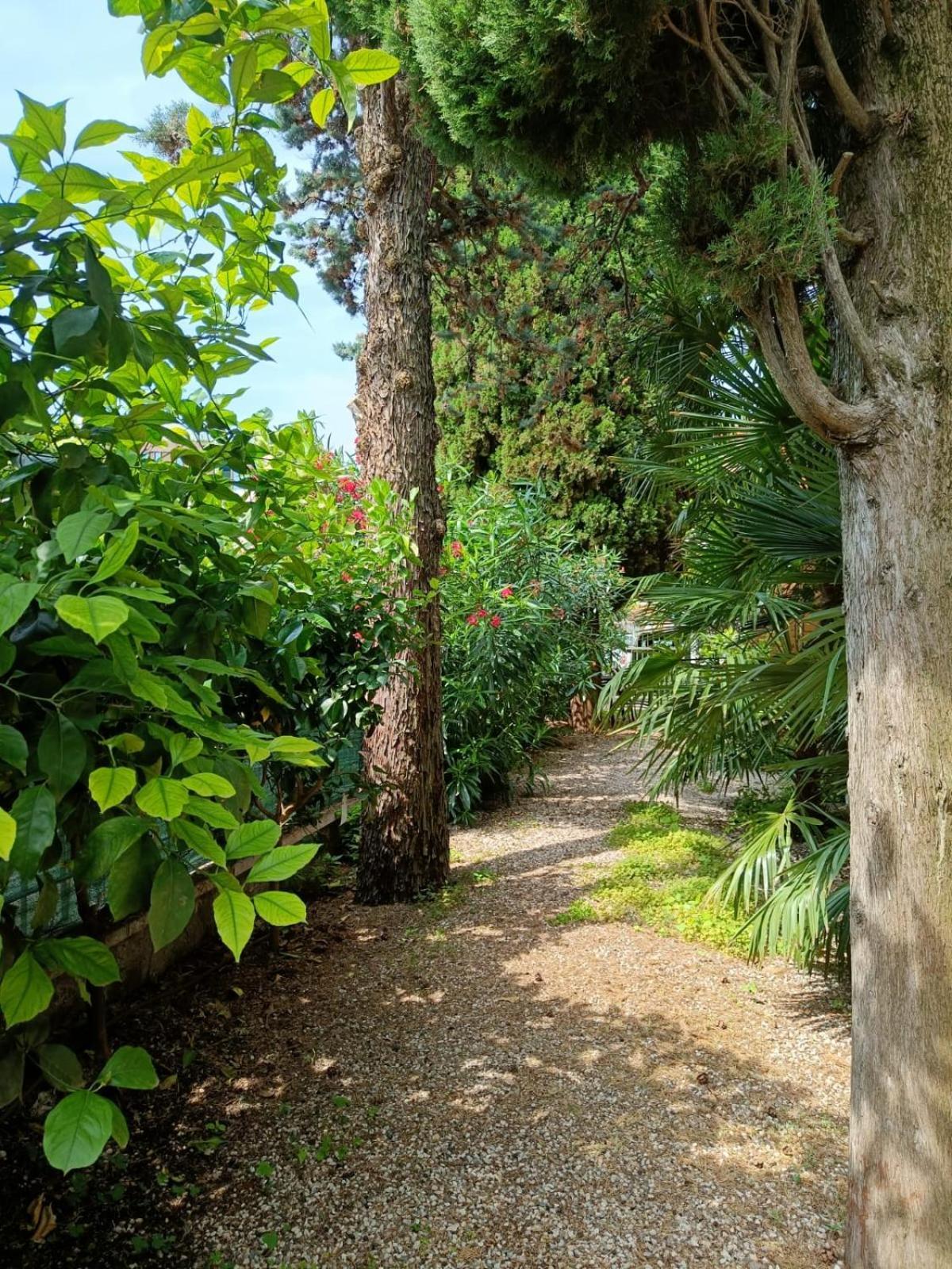 Casa Lucy Villa Bardolino Dış mekan fotoğraf